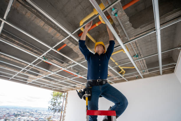 Best Water Leak Repair  in Vandalia, MO
